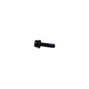 Parafuso (M60-HC02000180-100080-4203-Y) 1
